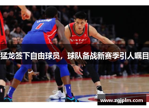 猛龙签下自由球员，球队备战新赛季引人瞩目