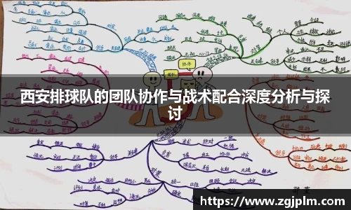 西安排球队的团队协作与战术配合深度分析与探讨